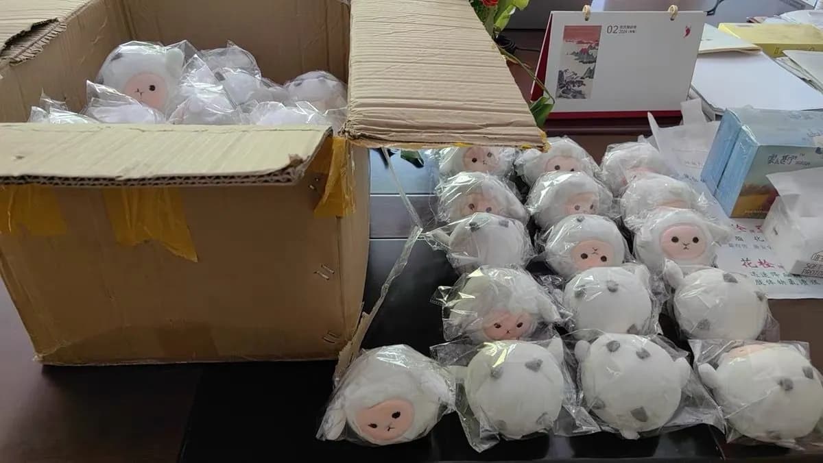 Character dolls individually bagged in an export carton