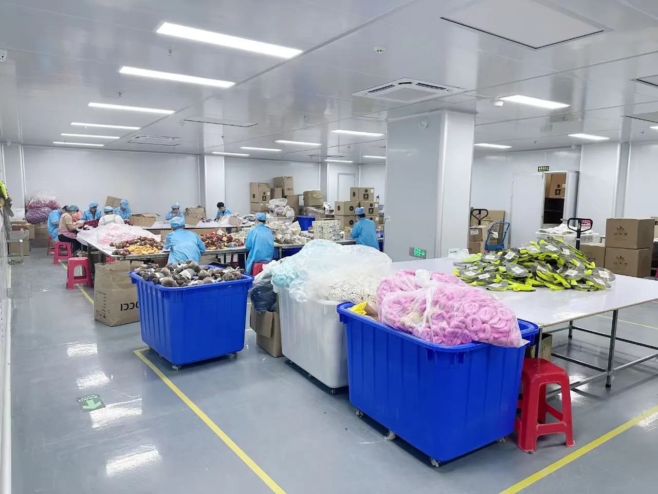 Plush toys being sorted into crates on our production floor